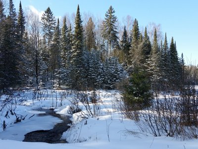 minocqua