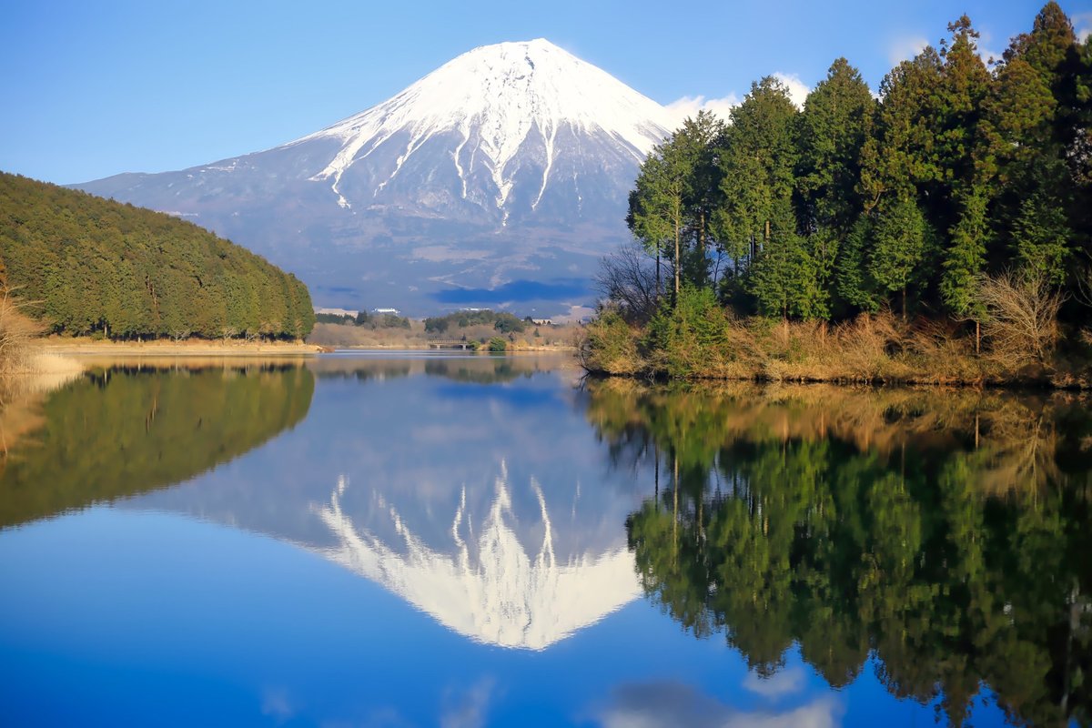 Lake Tanuki 富士宫市 旅游景点点评 Tripadvisor