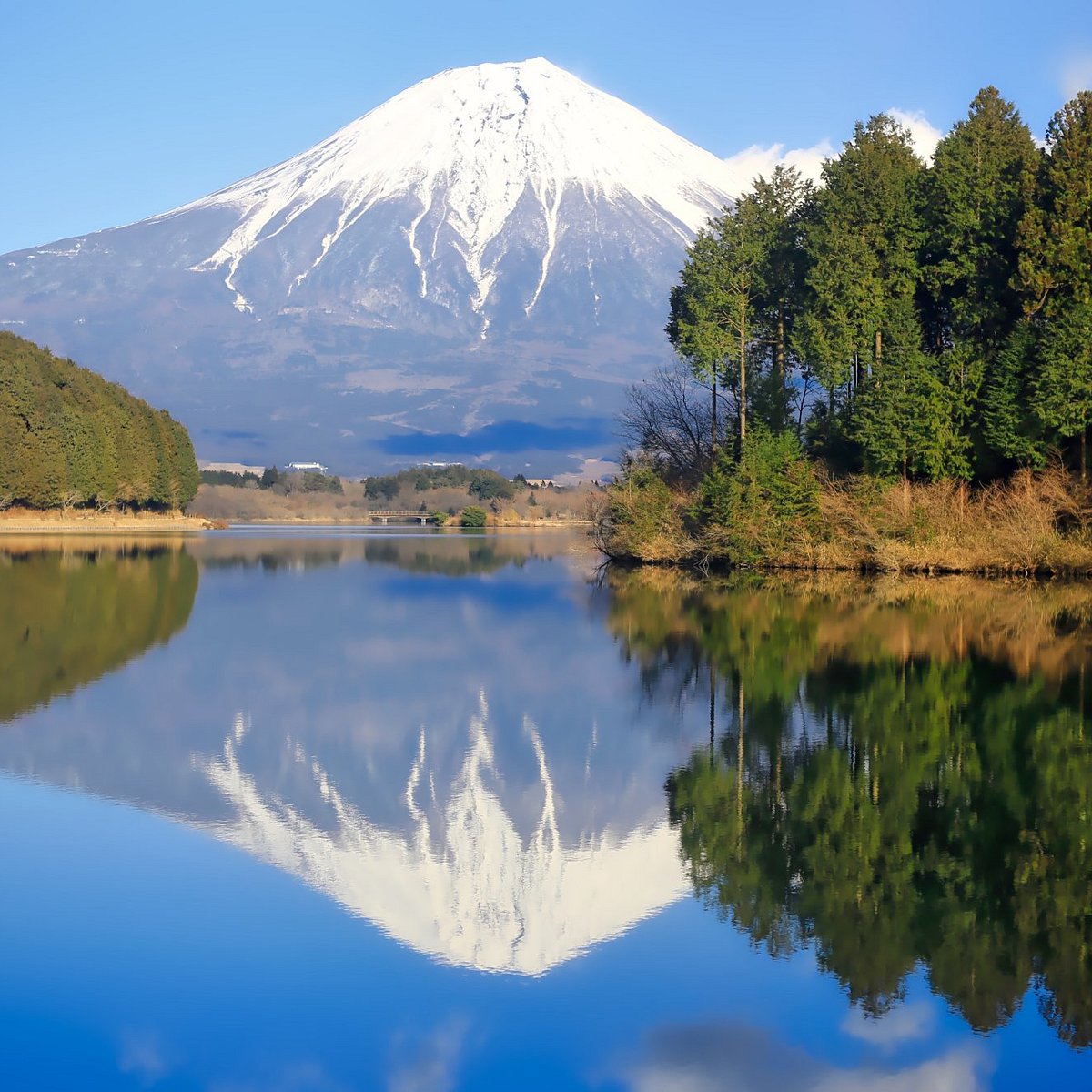 Lake Tanuki Fujinomiya Japan Anmeldelser Tripadvisor