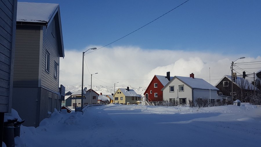 singel i rensvik