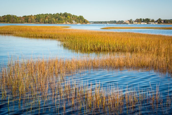 Estuary 
