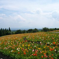 阿蘇を遠望