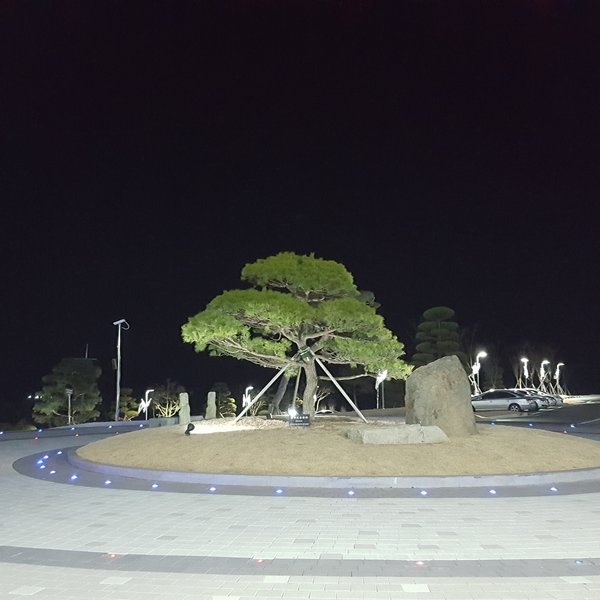 명절연휴에 다녀왔어요 - 베니키아 센트럴 호텔, 통영, 대한민국의 리뷰 - 트립어드바이저