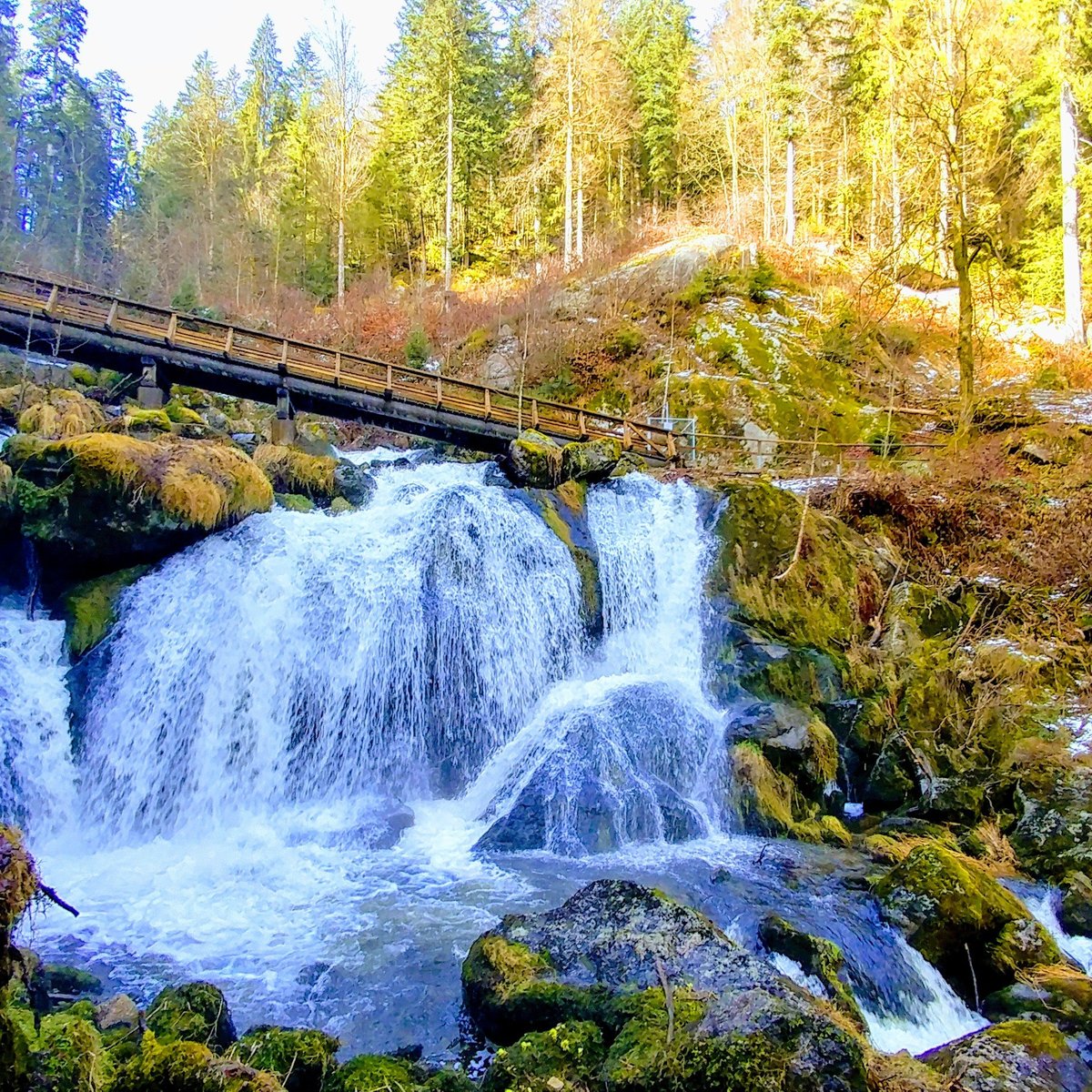 Triberger Waterfall Lohnt es sich? Aktuell für 2024 (Mit fotos)