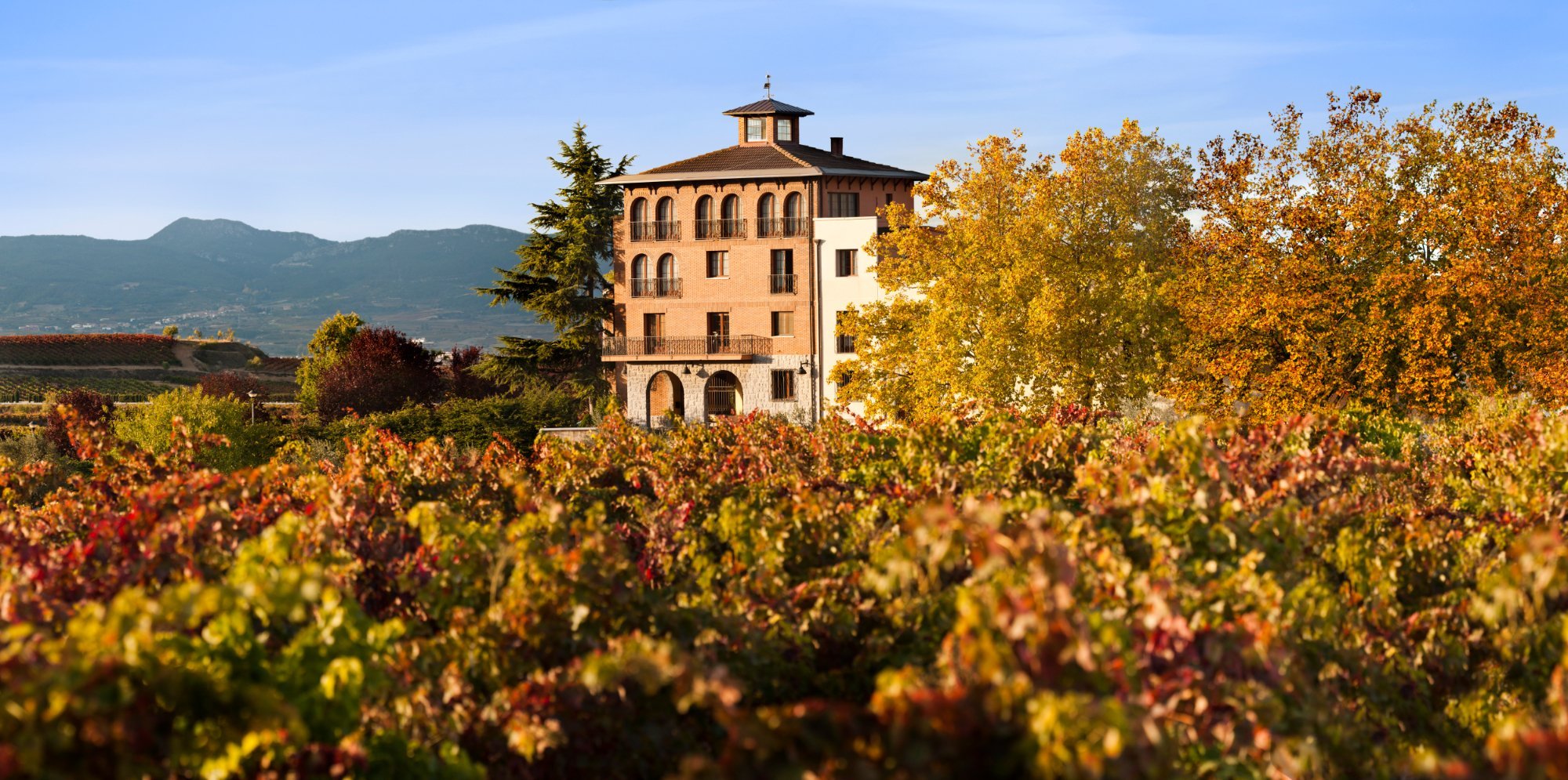 Bodegas Beronia, Ollauri: лучшие советы перед посещением - Tripadvisor