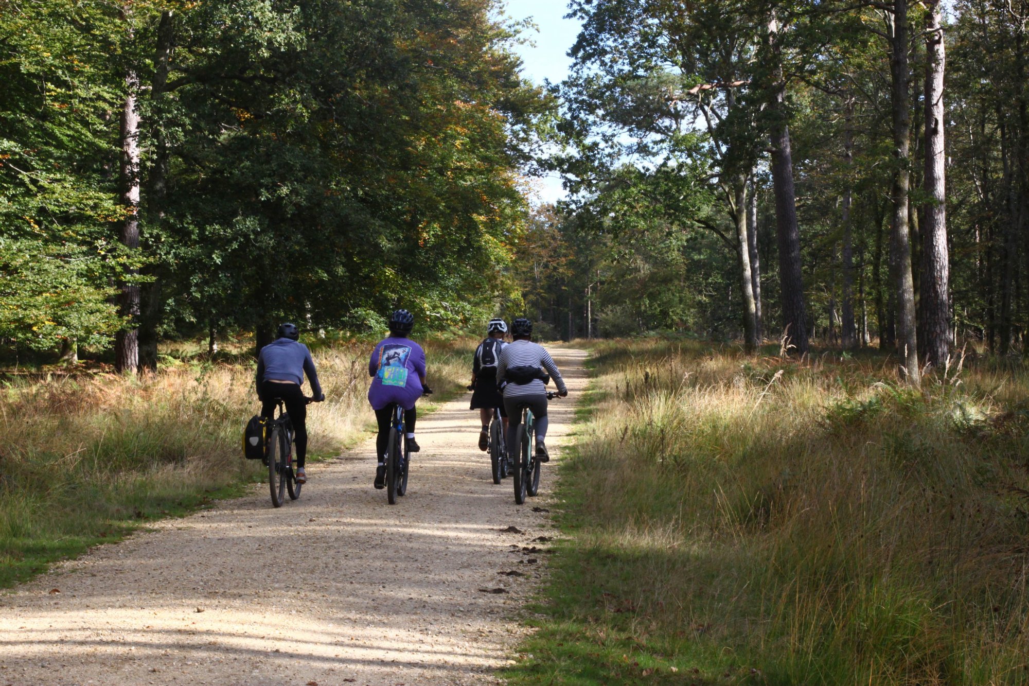 trax bike hire new forest