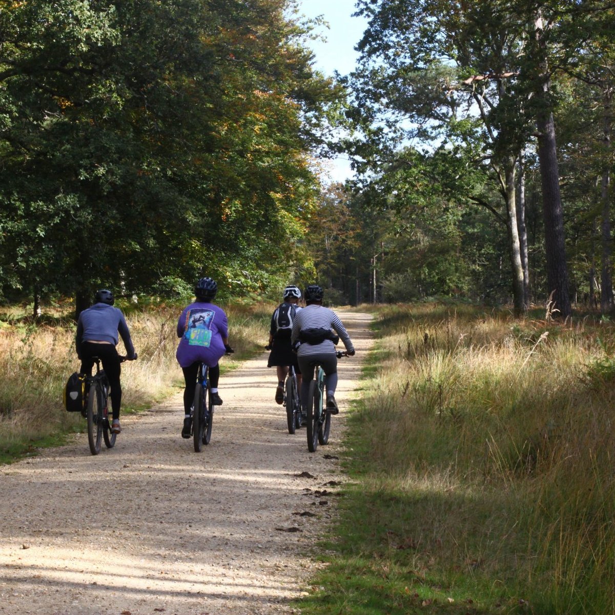 new forest bike shop