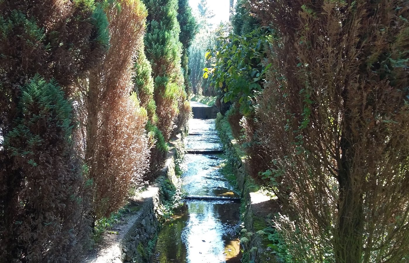 Loznica, Serbien Tourismus in Loznica Tripadvisor