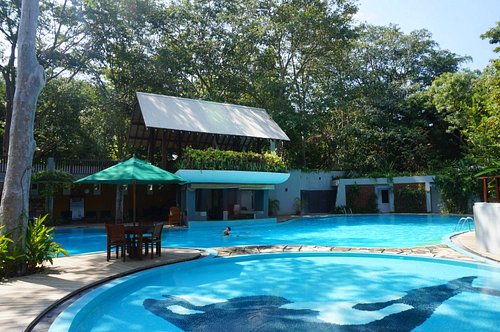 tourist hotel udawalawe