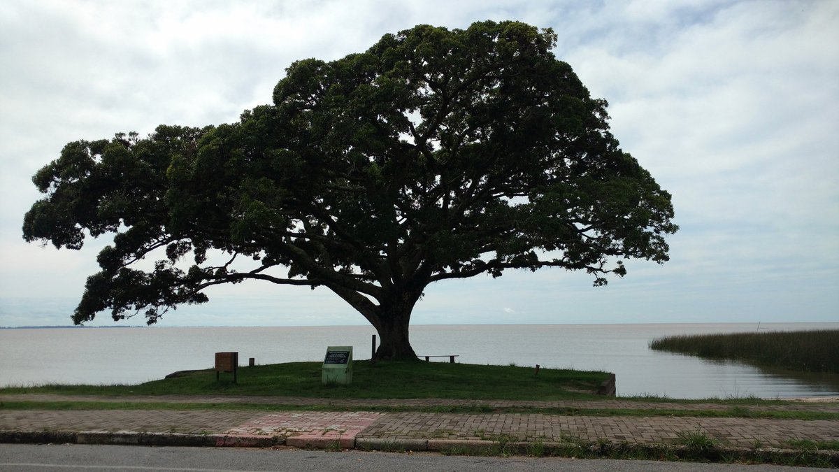 Barrinha Beach (Sao Lourenco Do Sul) Lohnt es sich? Aktuell für 2025