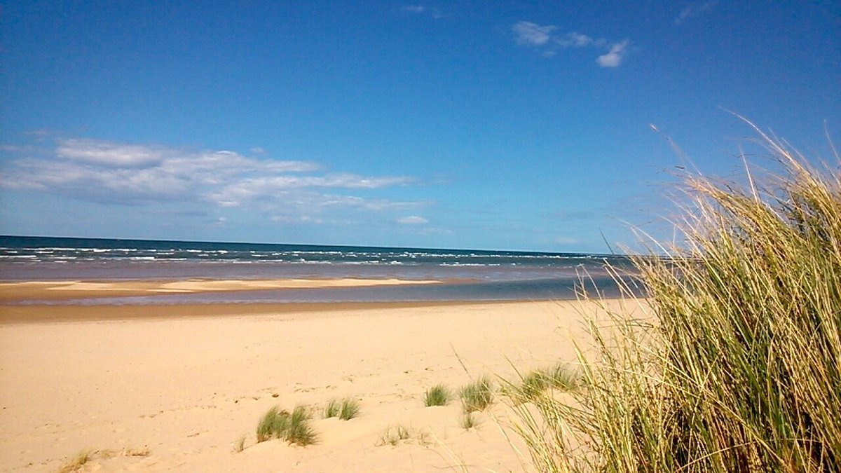 can dogs go on the beach at wells next the sea