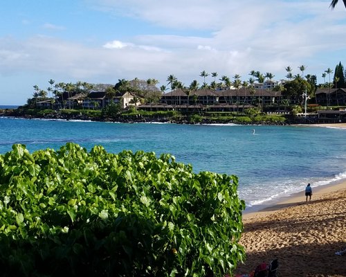 THE NAPILI BAY - Updated 2024 Condominium Reviews (Maui/Lahaina)