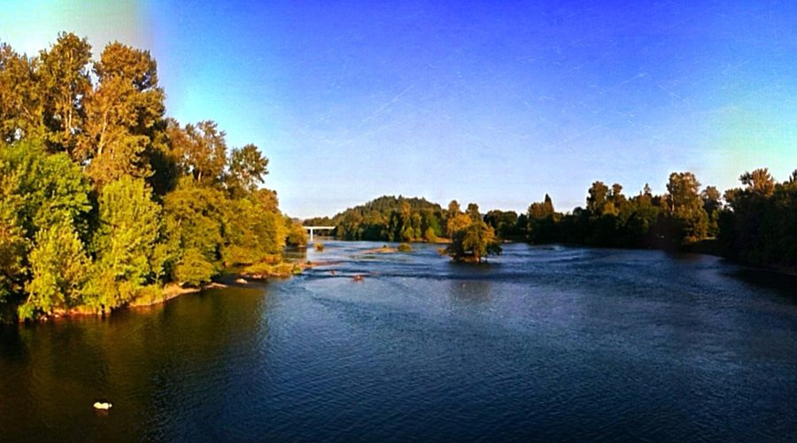 From the Autzen bike bridge