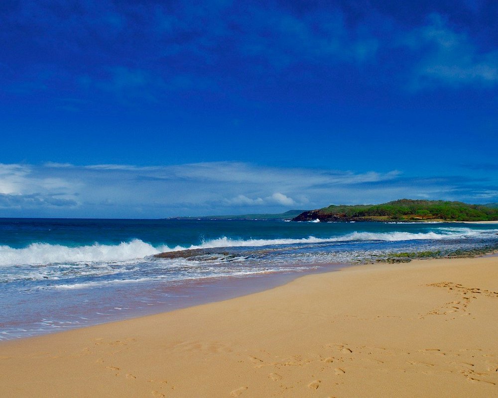 THE 15 BEST Things to Do in Molokai 2024 (with Photos) Tripadvisor