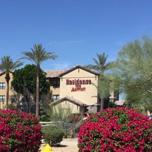 Spring flowers in bloom