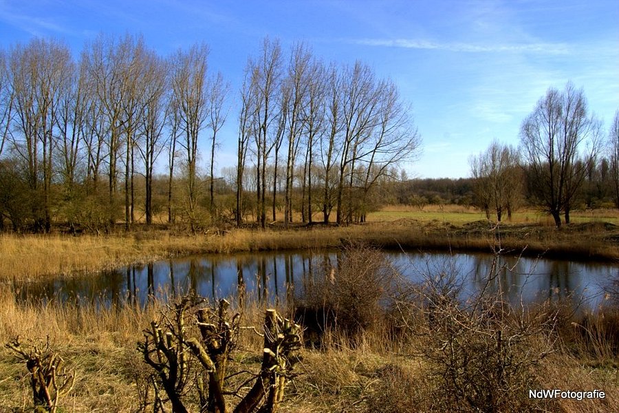 Natuurpark Lelystad image