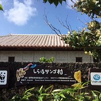 しらほサンゴ村入口