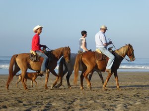 Viajero