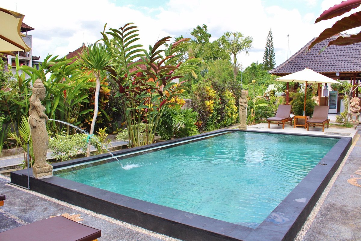 Rena House Ubud Pool Pictures & Reviews - Tripadvisor