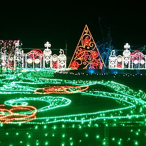 神奈川県の遊園地 ベスト10 トリップアドバイザー 神奈川県の遊園地 ベスト10 トリップアドバイザー