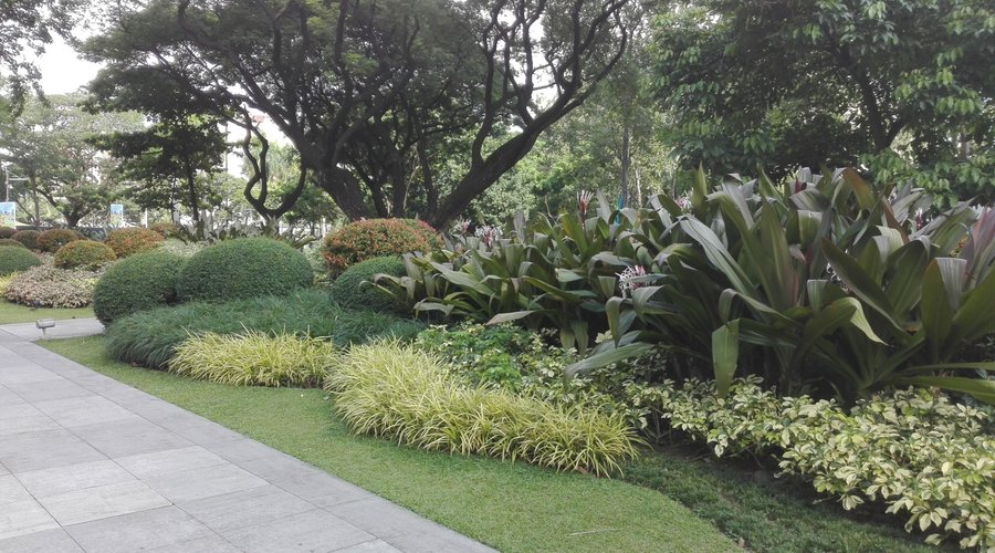 Ayala Triangle ll, some of the landscaping