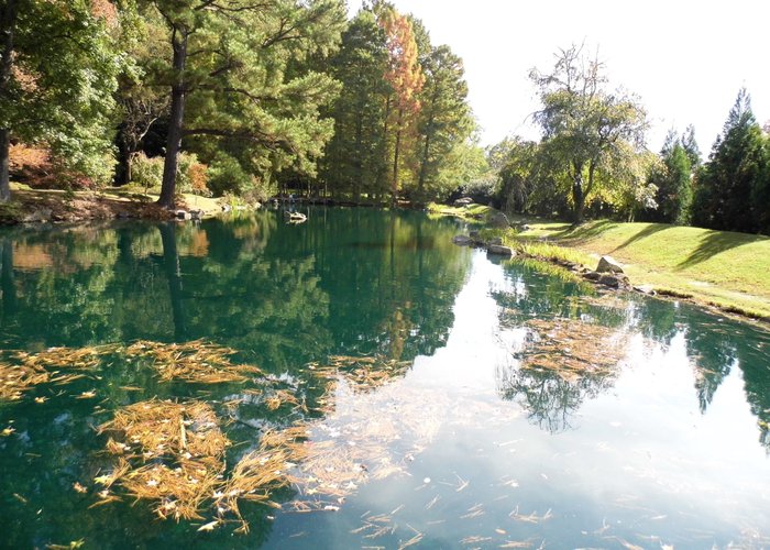 Wimberley, TX 2023: Best Places to Visit - Tripadvisor