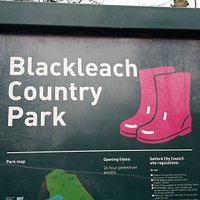 Blackleach 1