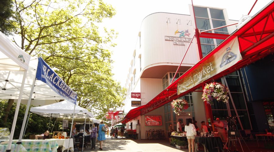 Farmer Market during the Summer Season
