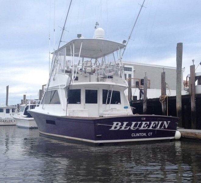 Bluefin Sportfishing Charters image