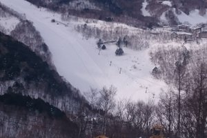 旅行者の写真