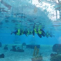 St. Augustine Aquarium - Snorklers