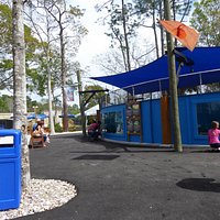 St. Augustine Aquarium - Big Tank