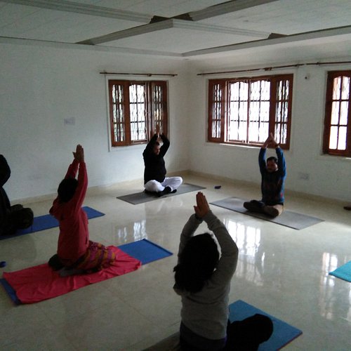 Yoga session at Jama Art Studio