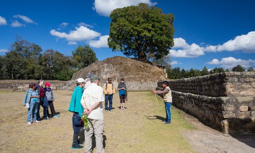 Alex explaining the site