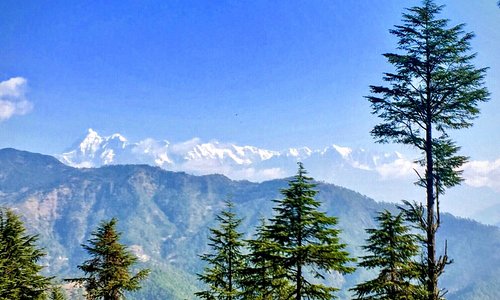 Gwaldam Tourism (2021): Best of Gwaldam, India - Tripadvisor