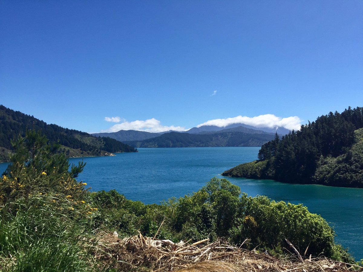 22年 Queen Charlotte Sound 行く前に 見どころをチェック トリップアドバイザー