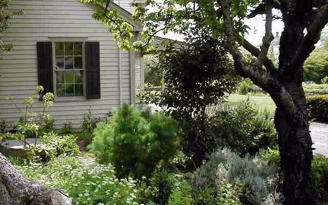 Looking toward the Rothschild House kitchen from the garden
