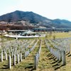 6 Things to do in Srebrenica That You Shouldn't Miss