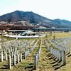 Things to do in Srebrenica, Republika Srpska: The Best Sights & Landmarks
