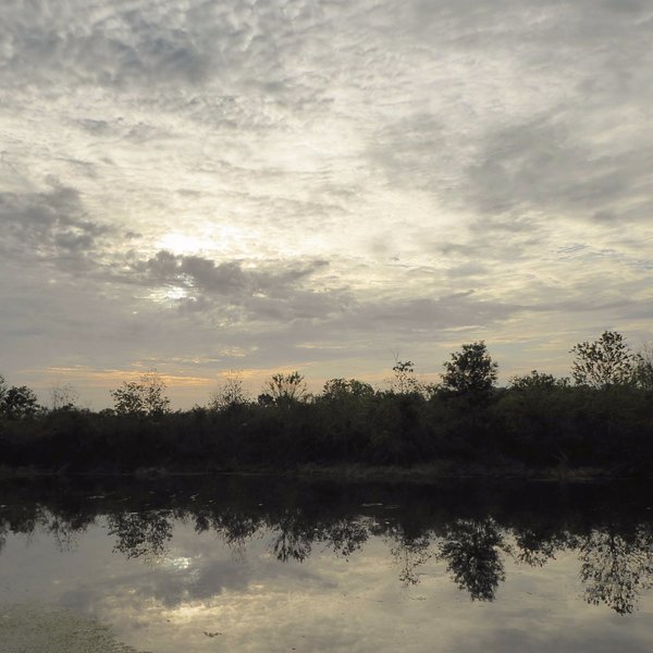 Trout Lake Nature Center (Eustis) - All You Need to Know BEFORE You Go