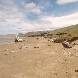 Herbertville Beach