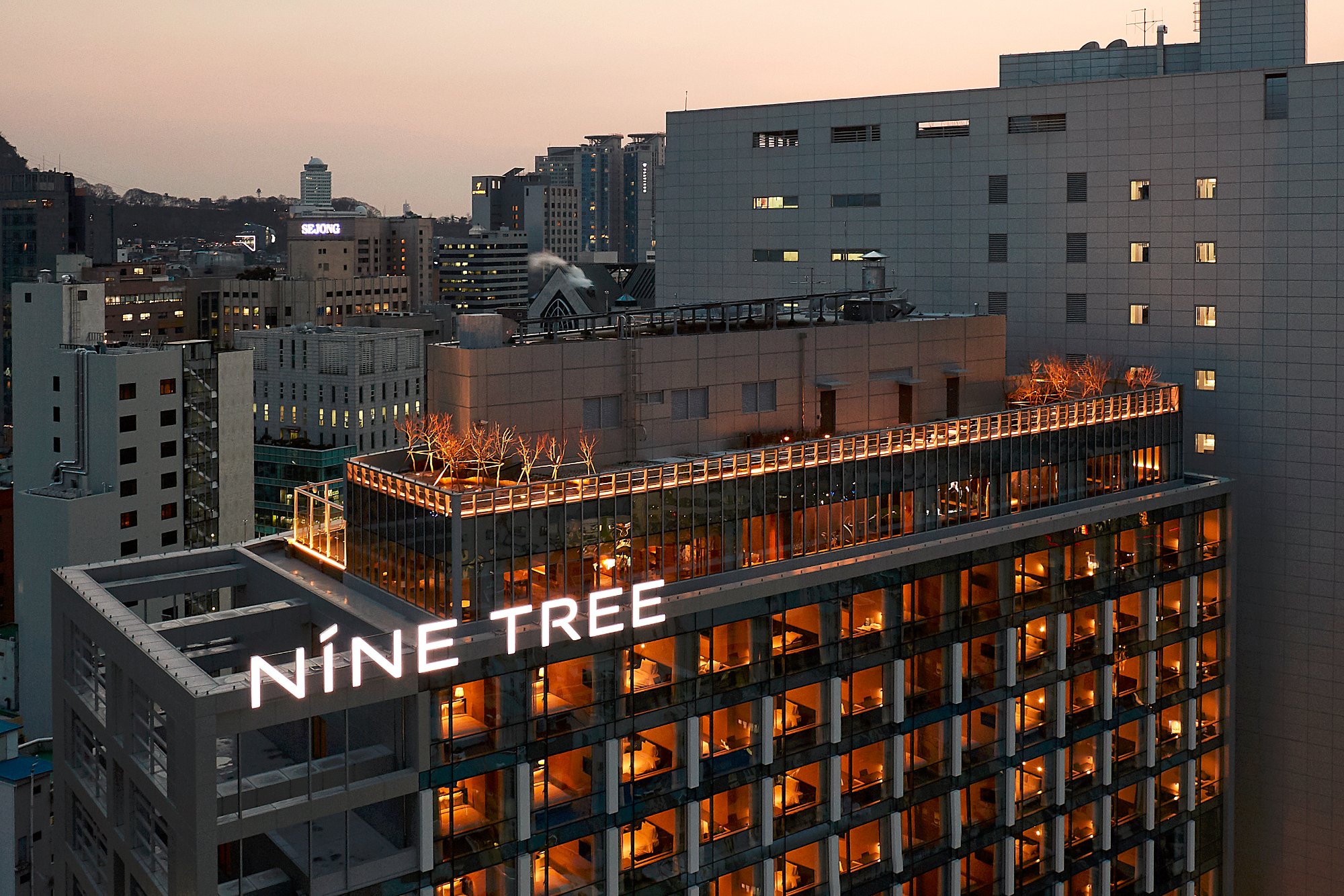 Hotel photo 1 of Nine Tree Premier Hotel Myeongdong II.