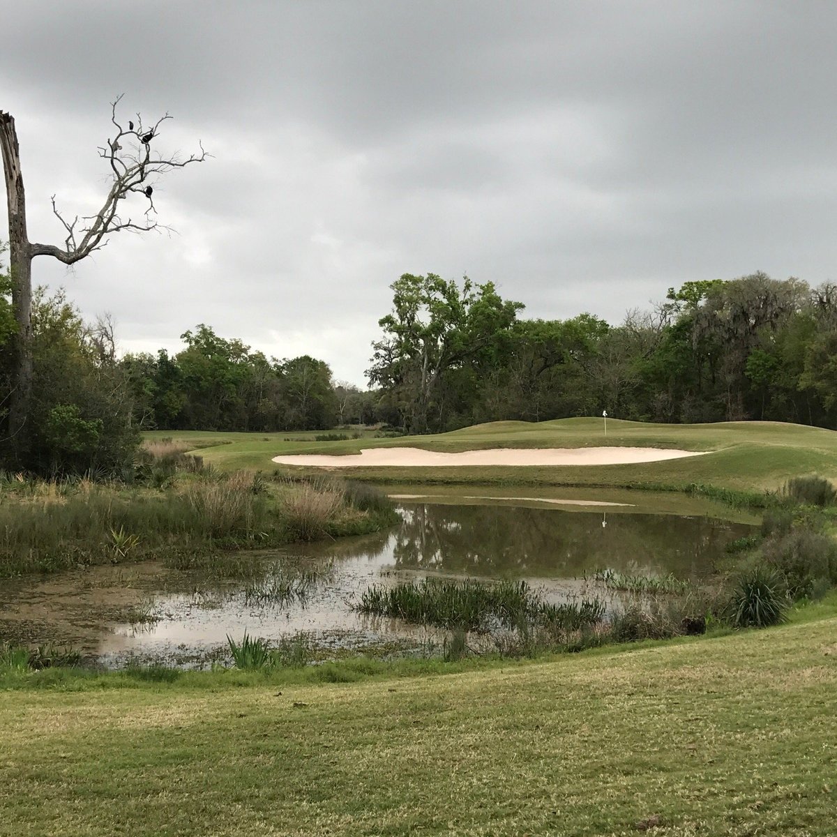 Wilderness Golf Course (Lake Jackson) 2022 Lo que se debe saber antes