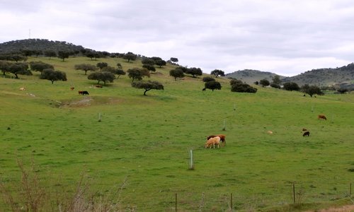 Vistas de los alrededores