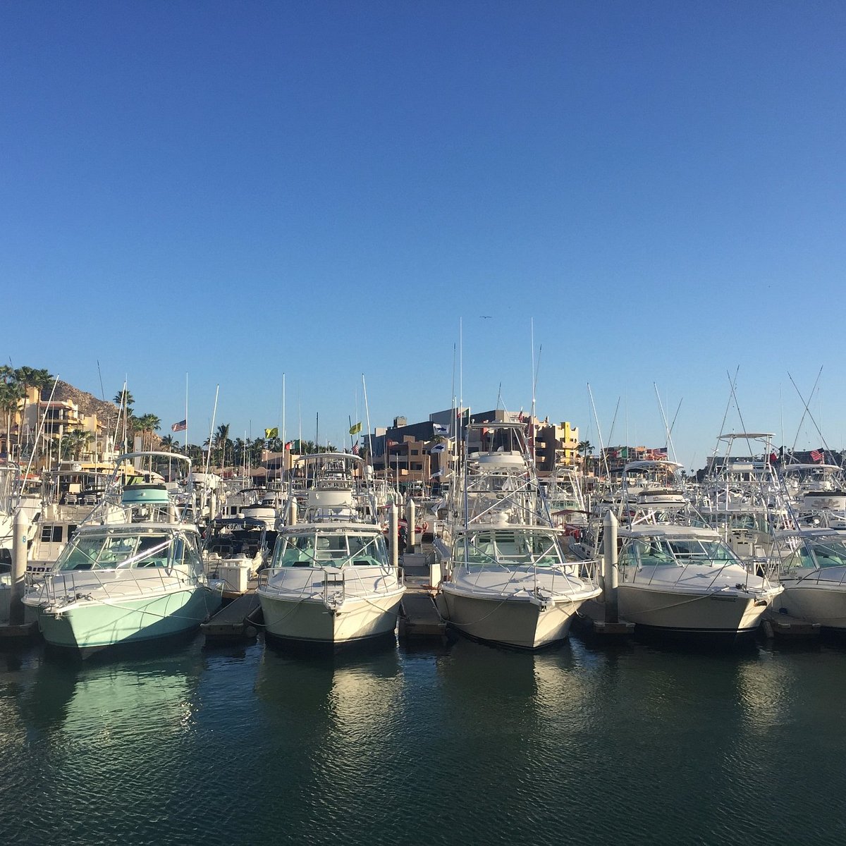 A Shopaholic's Paradise: The Marina of Puerto Banús