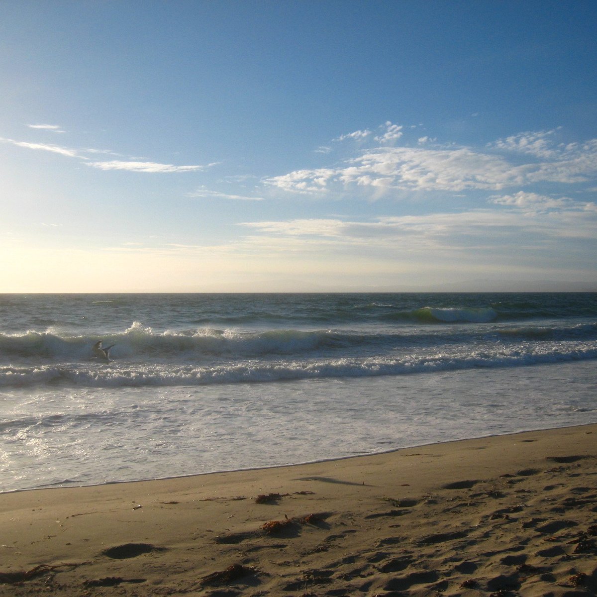 Salinas River State Beach (Moss Landing) - All You Need to Know BEFORE ...