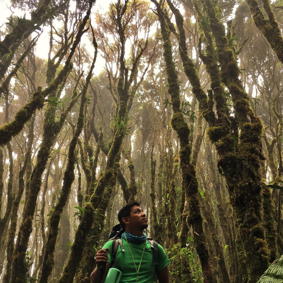 Mt Talomo (Mindanao) - Aktuell für 2022 - Lohnt es sich? (Mit fotos)