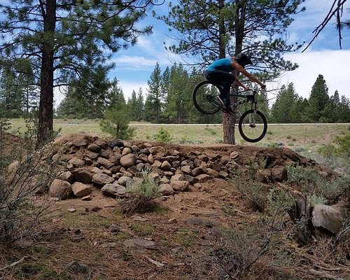 THE 15 BEST Things to Do in Truckee - 2024 (with Photos) - Tripadvisor
