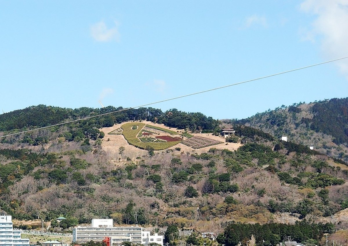 22年 花の咲く丘公園 行く前に 見どころをチェック トリップアドバイザー