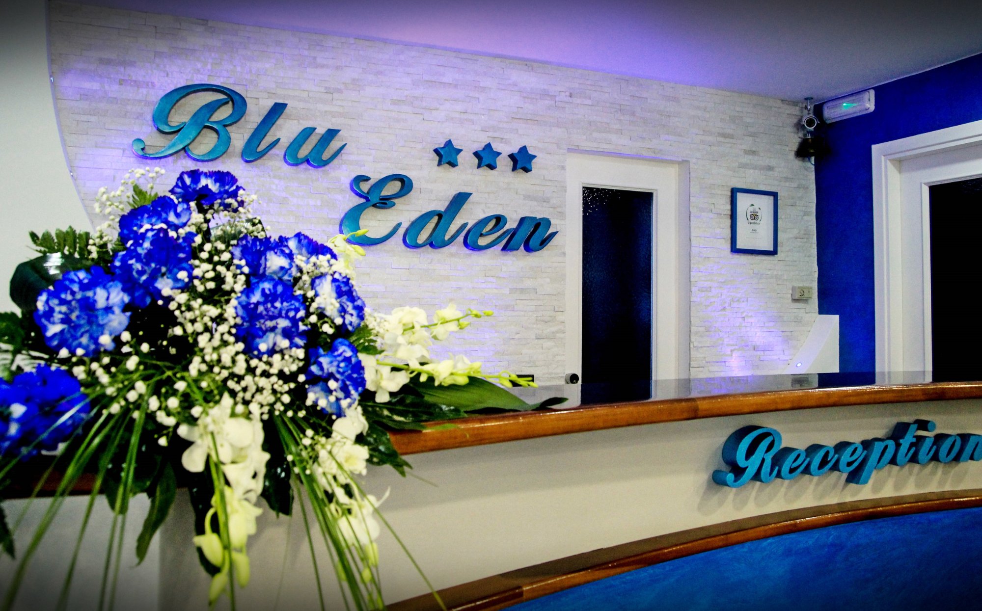 Hotel photo 17 of New Hotel Blu Eden.